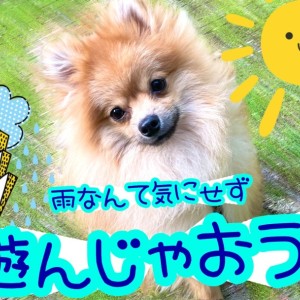 【 松島流ライフハック術 】雨時期を利用してトレーニングを始めちゃおう!