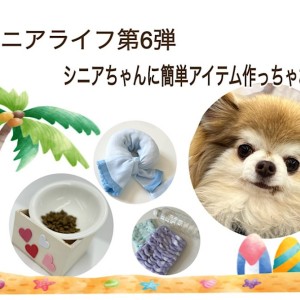 【 お役立て情報 】シニアちゃんに簡単アイテム作っちゃおう!