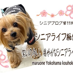 【 お役立て情報 】2022年のシニアライフの総集編