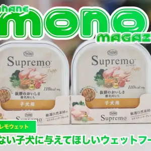 【 オススメウェットフード 】 食べ付きの悪い子犬にオススメウェットフード!