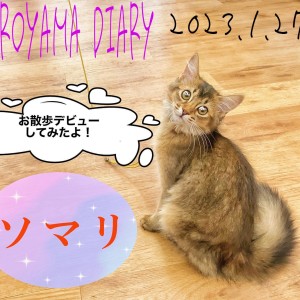 【 しろやま日記 】遊ぶの大好きソマリちゃん