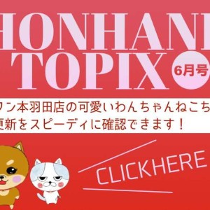 【 HONHANE トピックス6月号 】マルワン本羽田店の6月の情報をチェック!