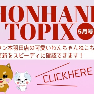 【 HONHANE トピックス5月版 】マルワン本羽田店の5月の情報配信を確認!