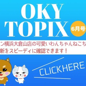 【 OKURAYAMA トピックス6月版 】マルワン大倉山店の6月の情報配信を確認!