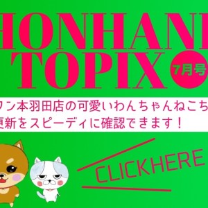 【 HONHANE トピックス7月号 】マルワン本羽田店の7月の情報配信!