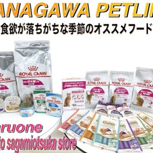 【 神奈川ペットライフ 】ワンちゃん&ネコちゃんの食欲減退の季節にオススメフード