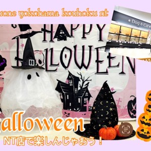 【 お知らせ 】NT店でハッピーハロウィン楽しんじゃおう!