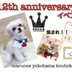 【 お知らせ 】祝港北NT店12周年イベントやっちゃいます!実家に遊びにきてね