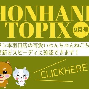 【 HONHANEトピックス9月号 】マルワン本羽田店の9月の情報配信!