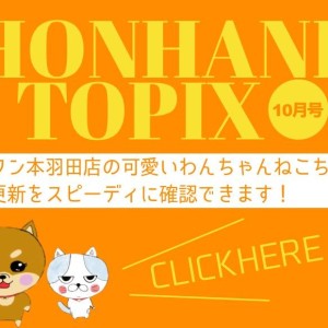 【 HONHANEトピック10月号 】マルワン本羽田店の10月の配信情報!