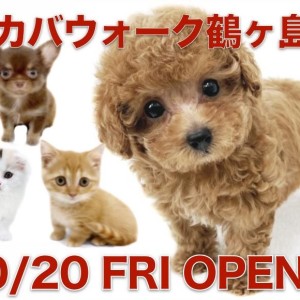 【 ワカバウォーク鶴ヶ島店オープン 】マルワンが埼玉県鶴ヶ島市にオープン!