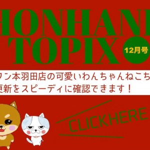 【 HONHANEトピック12月号 】マルワン本羽田店の12月の配信情報!