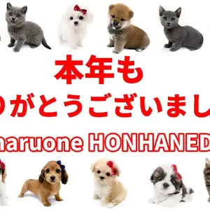 【年末ご挨拶 】マルワン本羽田店より今年もありがとうございました!!