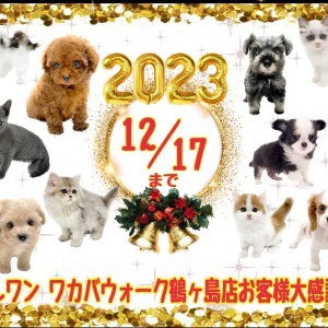 【 お知らせ 】来年は笑顔と思い出に溢れる年に!鶴ヶ島店の大感謝祭