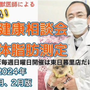 【 体脂肪測定 】ほぼ毎週開催!獣医師新田先生による無料健康相談会1、2月