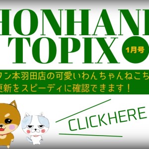 【 HONHANEトピックス1月号 】マルワン本羽田店の1月の配信情報!