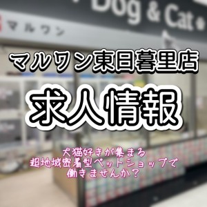 【 求人 】マルワン東日暮里店スタッフ募集!2024年3月卒も大歓迎!