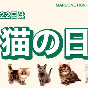 【 猫の日 】2月22日は猫の日!本羽田店の可愛いニャンコ様をご紹介