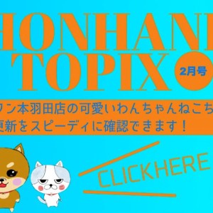 【 HONHANEトピックス2月号 】マルワン本羽田店2月の配信情報!