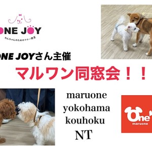 【 お役立て情報 】ONEJOYさん主催『マルワン同窓会』に密着!