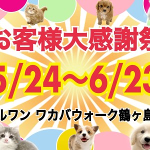 【 お知らせ 】待ちに待った大感謝際!鶴ヶ島店ワンニャン紹介