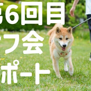 【オフ会レポ】総勢23頭大集合!新メンバー続々!!みんなで遊ぼう!