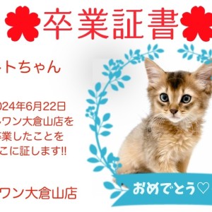 【 卒業証書 】トトちゃん卒業おめでとう!!スタッフママより愛を込めて!