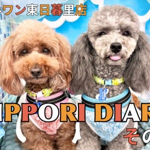 【 NIPPORI DIARY その 】体脂肪測定会に密着!ココ&ルル編