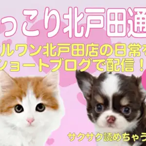 【 ほっこり北戸田通信集 7.8月号 】日々の日常をマルっとまとめました!