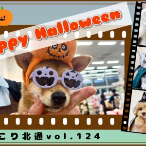 【 ほっこり北通Vol.124 】マルワン北戸田店のハロウィンday!