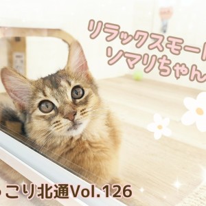 【 ほっこり北通Vol.126 】リラックスモードのソマリちゃん