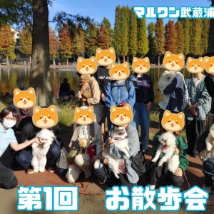【 しつけ個別相談会 】愛犬との絆の結び方レクチャーとお悩み相談!お散歩編