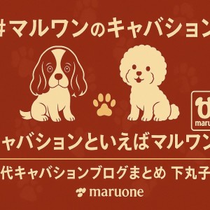 【 まとめ 】キャバションといえばマルワン!下丸子店歴代キャバションの記事紹介