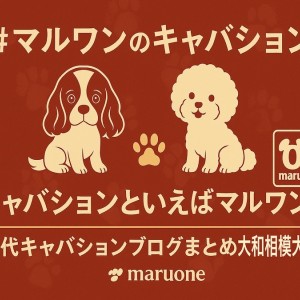 【 まとめ 】キャバションといえばマルワン!相模大塚店歴代キャバションの記事紹介