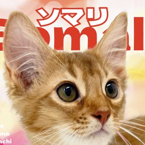 【 ソマリ 】鮮やかな赤に目を奪われる!横浜元町店の自慢のファッションガール!