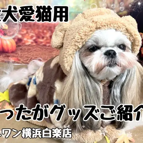 【 商品紹介 】いよいよ冬本番！愛犬愛猫のためのあったかグッズご紹介！