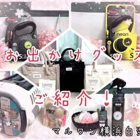 【 商品紹介 】いよいよお花見シーズン到来！便利なお出かけグッズご紹介