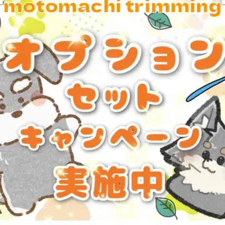 【 トリミングサロン 】お得なオプションキャンペーン実施中！！！【 横浜元町店 】