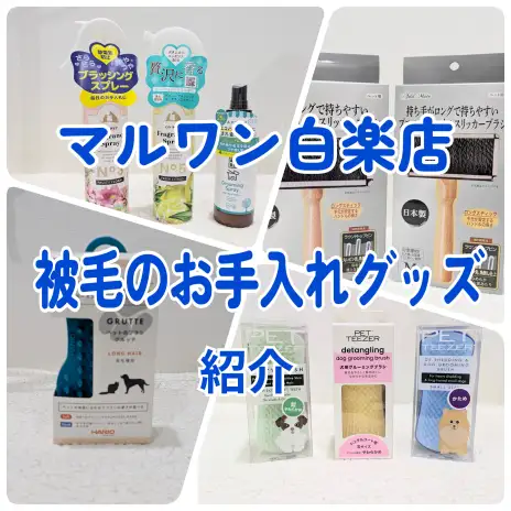 【 商品紹介 】愛犬愛猫の被毛を守る！白楽店お手入れグッズ紹介！