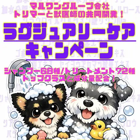 【 トリミングサロン 】期間限定ラグジュアリーケアキャンペーン！【 横浜元町店 】