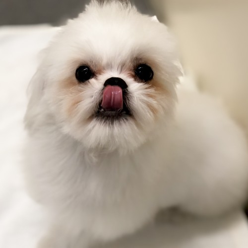 MIX