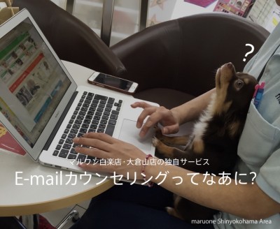 レポート：超便利！E-mailカウンセリング