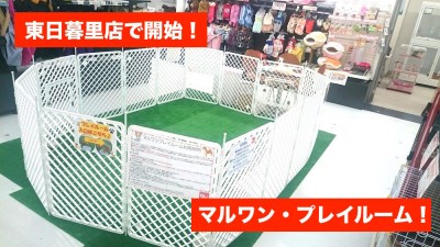 東日暮里店発：「マルワン・プレイルーム」開始！！