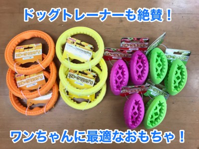 【ワンちゃんおもちゃ紹介】すでに爆売れ！ドッグトレーナーも欲しがる最高のおもちゃが新登場！☆フルーツラグビーボール＆リング☆のご紹介！