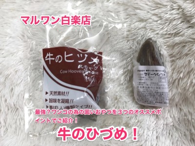 【牛のひづめ】最強？ワンコの為の固いおやつを3つのオススメポイントでご紹介！