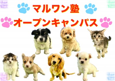 【マルワン塾オープンキャンパス】：マルワン相模大塚店のマルワン塾が進化！オープンキャンパス始めます！