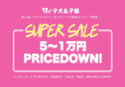 【スーパーセール6店舗追加開催！】港北NT店・武蔵浦和店・大倉山店・鶴見店・相模大塚店・下丸子店！