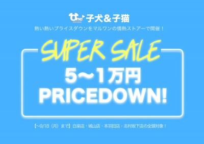 【スーパーセール追加開催！】白楽店・城山店・本羽田店・志村坂下店