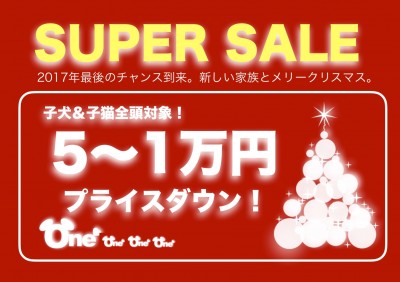 【スーパーセール開催！】2017年もあとわずか！マルワンより素敵なクリスマスプレゼント♥