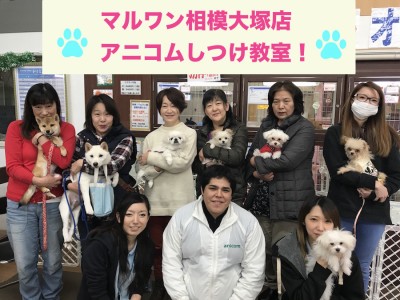 【11/30しつけ教室】マルワン×アニコム合同イベント！相模大塚店レポート冬の陣！